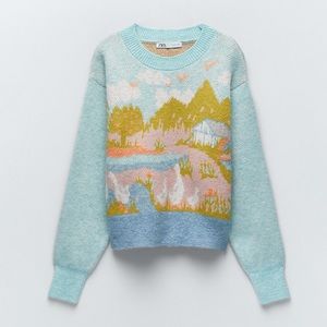 Zara | Sweaters | Zara Jacquard Goose 